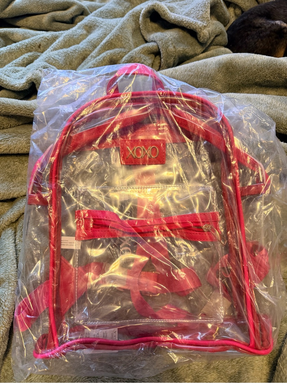 Clear hot pink XOXO backpack